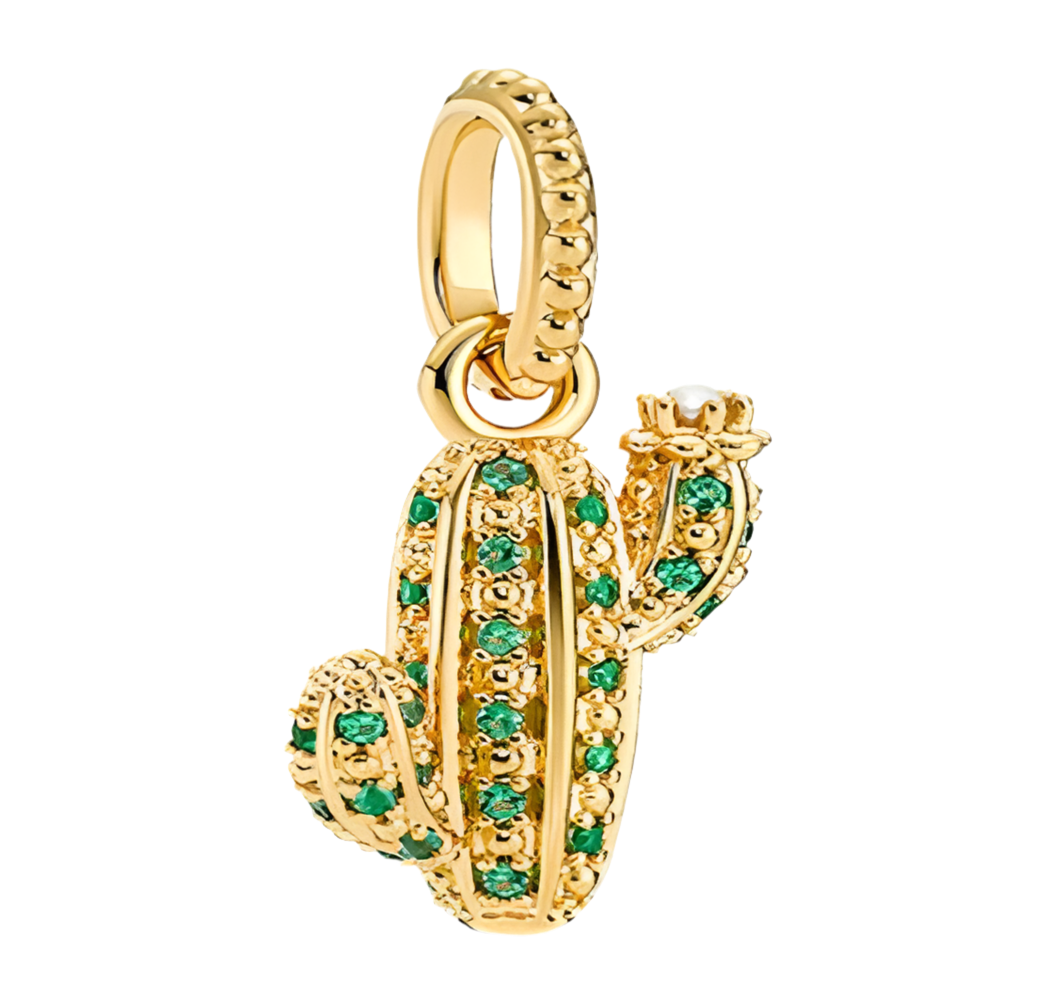 Cactus Charm